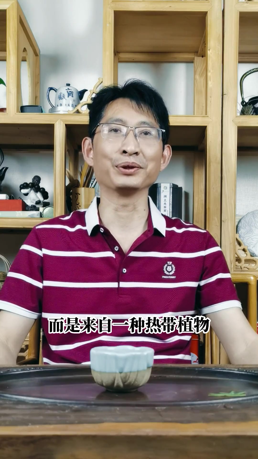 379期:老鹰茶 茶 茶文化 涨知识