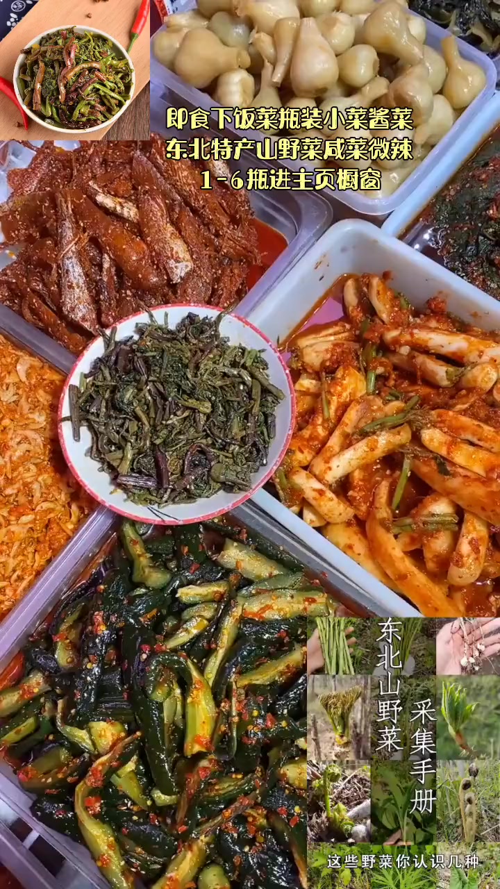即食下饭菜瓶装小菜酱菜东北特产山野菜咸菜微辣1-6瓶