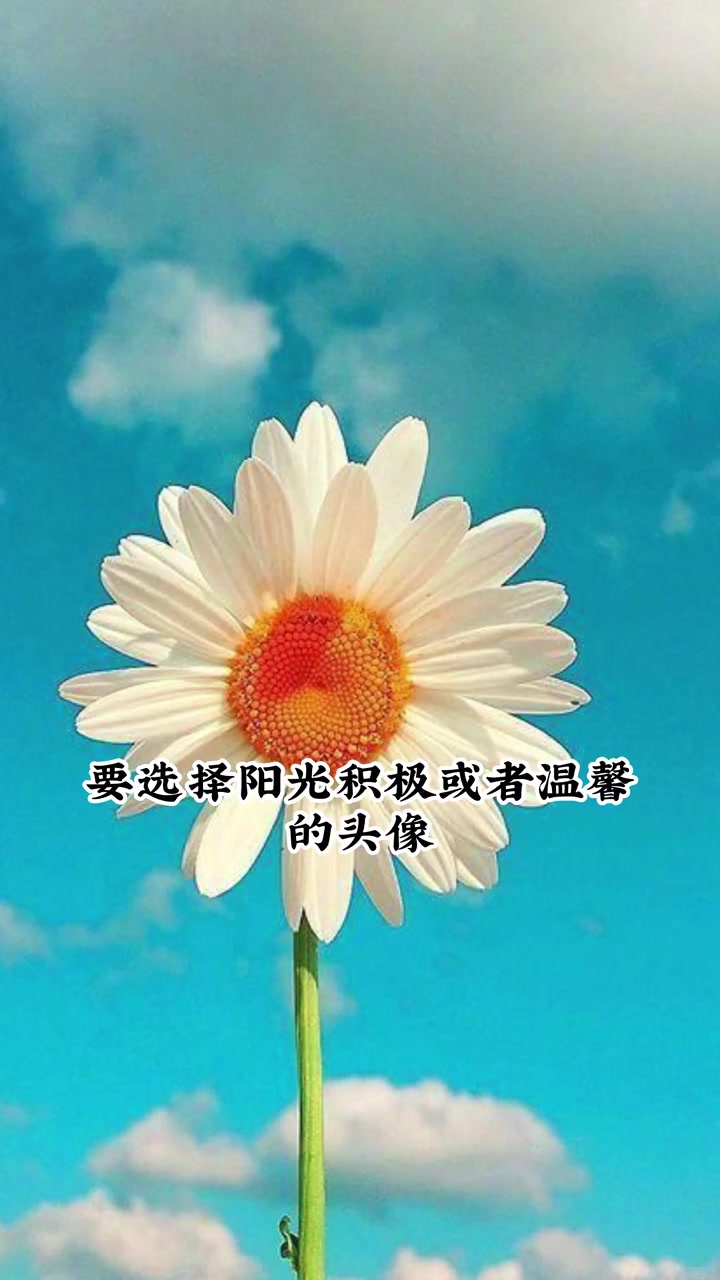 微信头像有讲究,你一定要知道,用对了可助你一臂之力