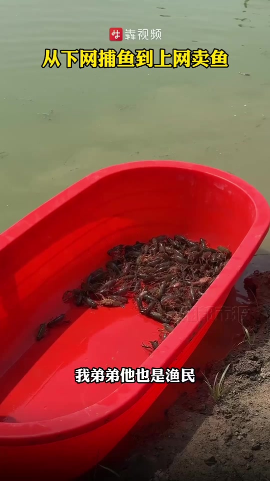 守护好一江碧水丨从撒网捕鱼到上网卖鱼