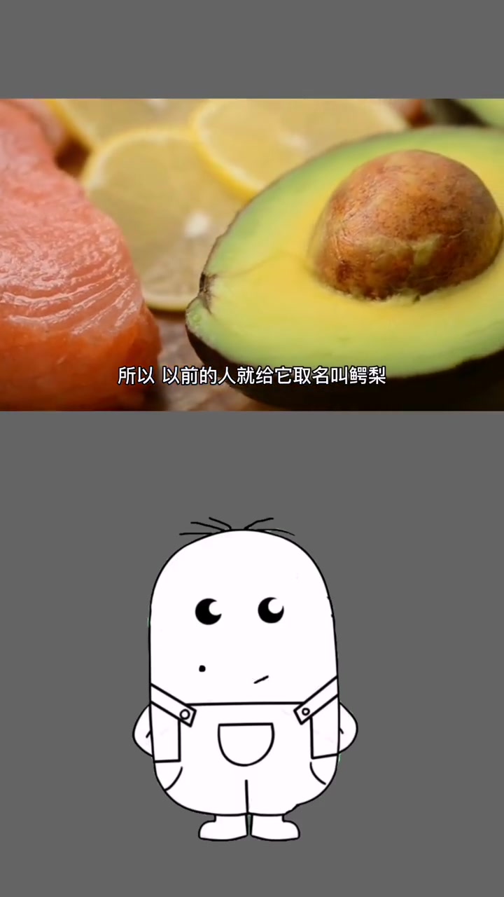 牛油果为什么又叫鳄梨?科普 知识分享 知识科普 每天