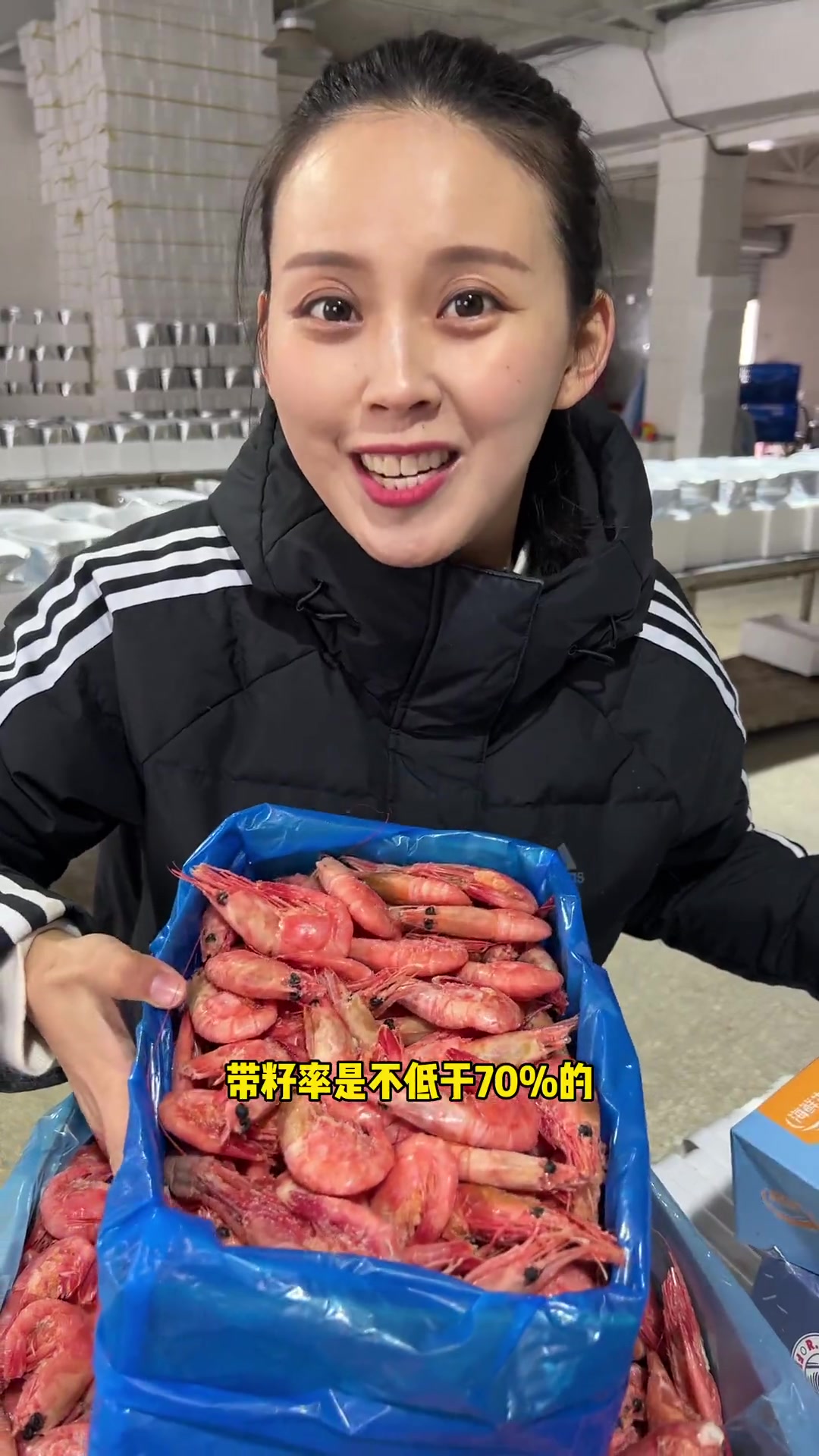 国王大大号腹籽虾,品质惊艳 北极甜虾
