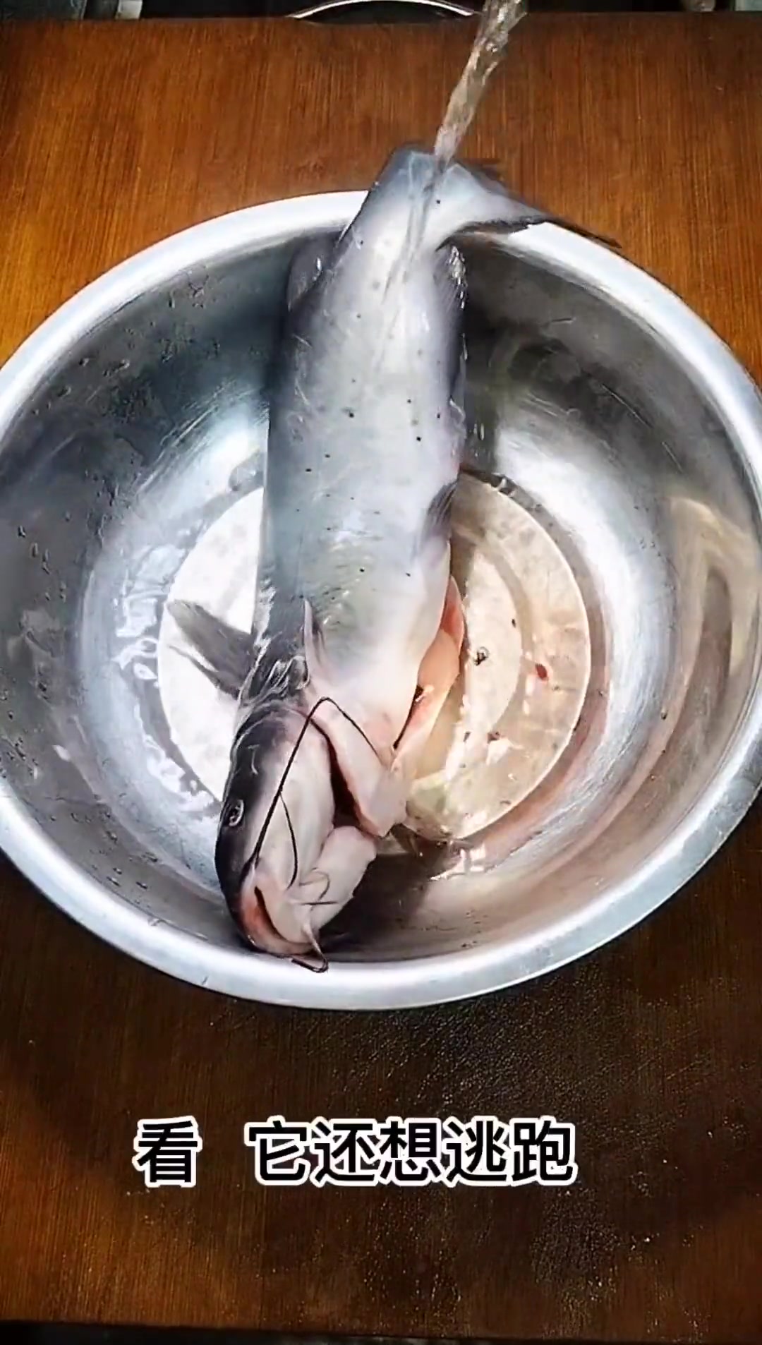清蒸江团鱼片,肉质滑嫩,营养丰富,好吃到爆!