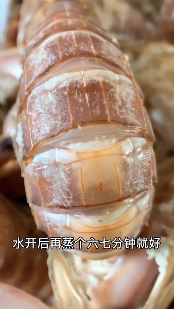 皮皮虾季到了!会挑才能吃的开心!文刚说食材 美食 助力湖北