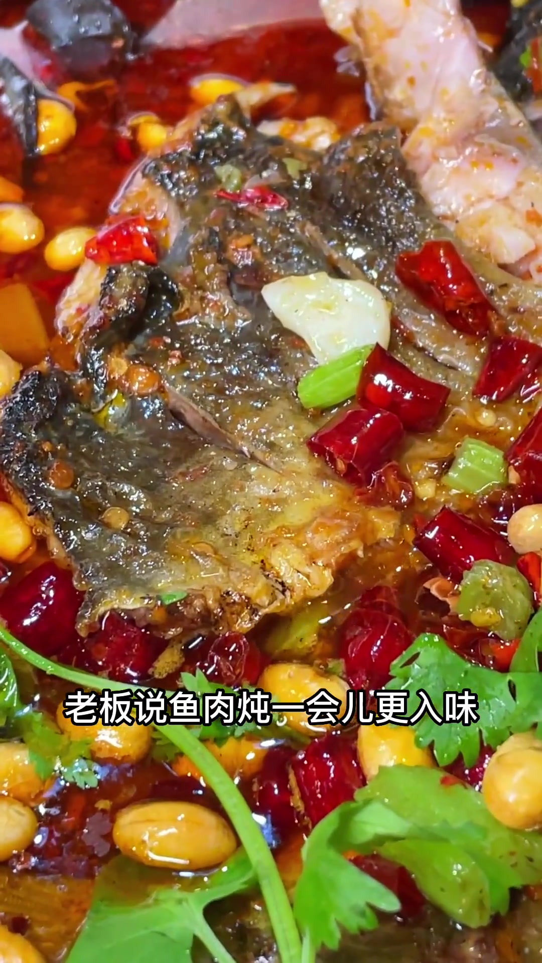 大东区他家烤鱼老入味了,路过的赶紧吃一口 沈阳 真实探店测评 美食探店