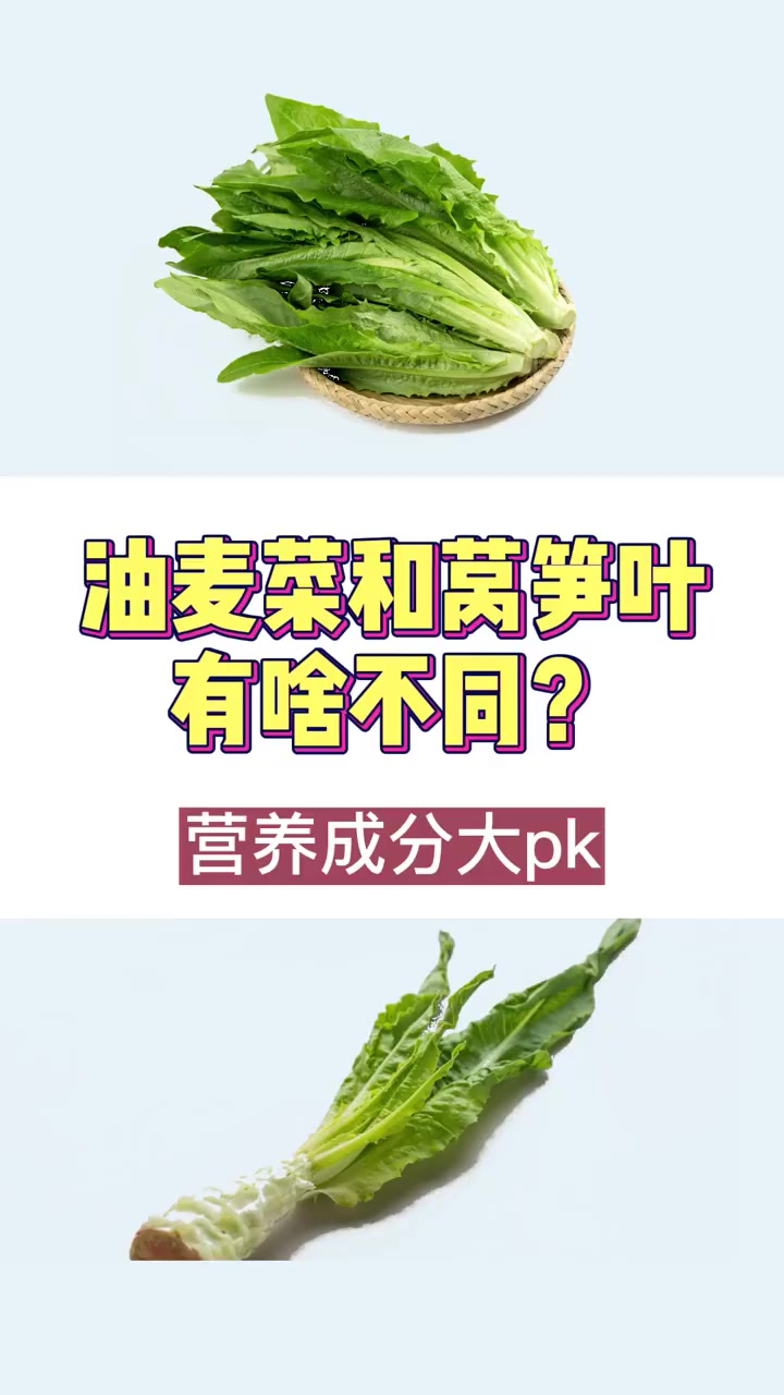 油麦菜和莴笋叶的区别