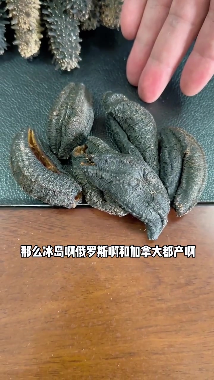 常见的干海参种类大全 海参 干海参 野生海参 滋补养生