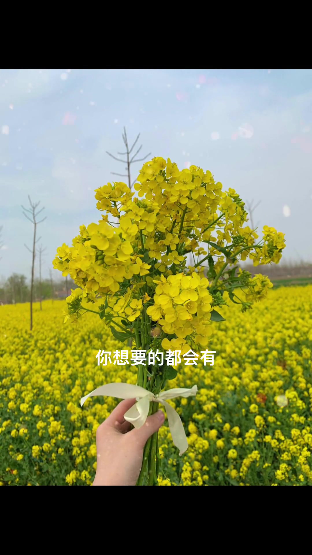 有一种很平凡的花,叫油菜花。他的花语是:你想要的都会有