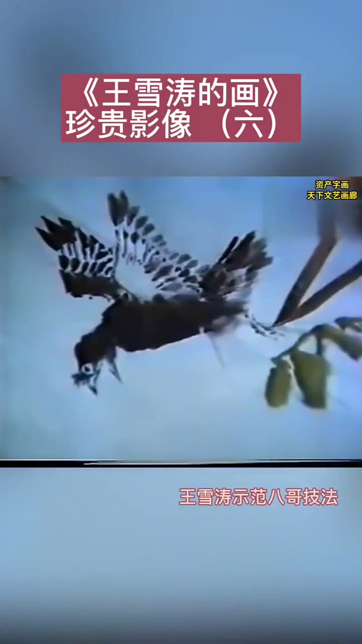 王雪涛珍贵视频5-8集