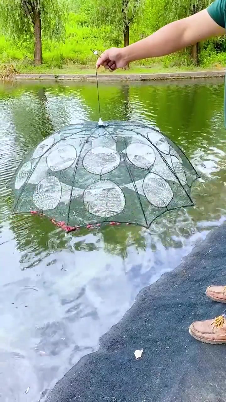 折叠捕鱼捕虾网,钓鱼时下网,回家再也不空军 钓鱼 捕虾 户外钓鱼