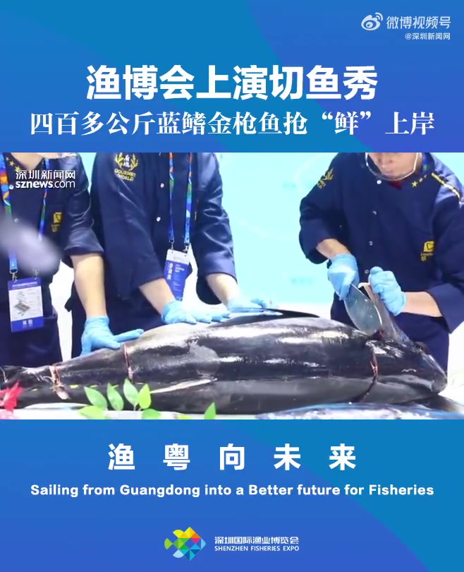 900斤的蓝鳍金枪鱼「IN视频|渔博会上演切鱼秀 远洋归来的大目金枪鱼抢“鲜”上岸」5月1