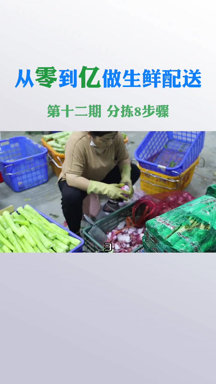 第10集|从零到亿做生鲜配送,第十二期 水果蔬菜分拣流程步骤 生鲜配送 食材配送 蔬菜配送