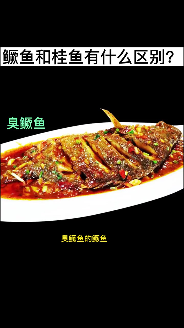 臭鳜鱼 的鳜鱼和桂花鱼的桂鱼是一种鱼吗?今天带你们认识下