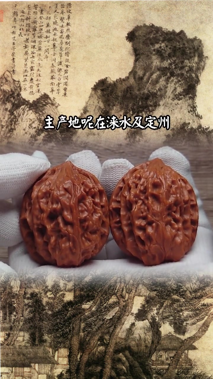 第7集|传统老鸡心 文玩核桃 文玩核桃品种 +小助手