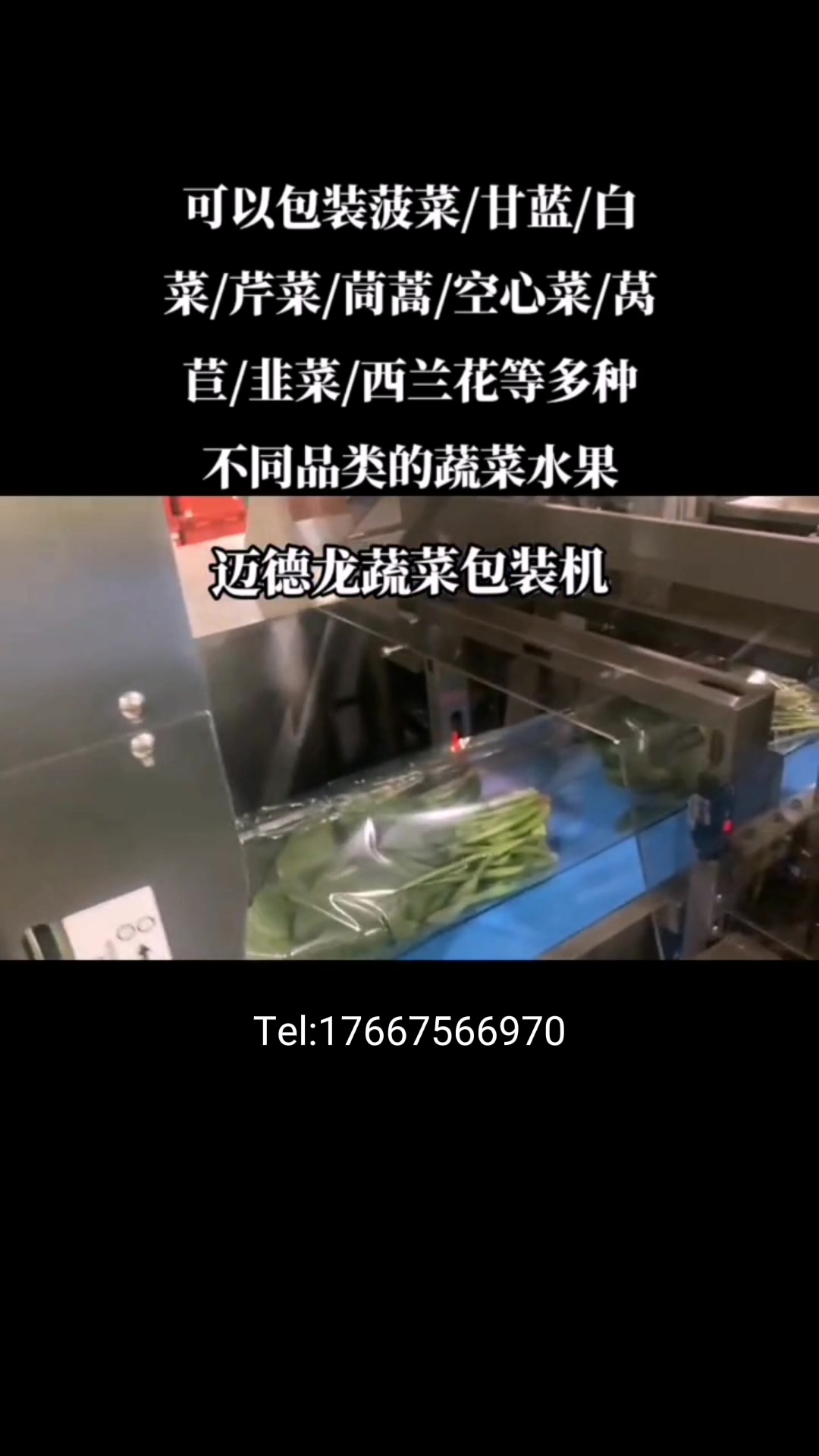 叶菜打包机菠菜自动包装机械 迈德龙源头生产厂家