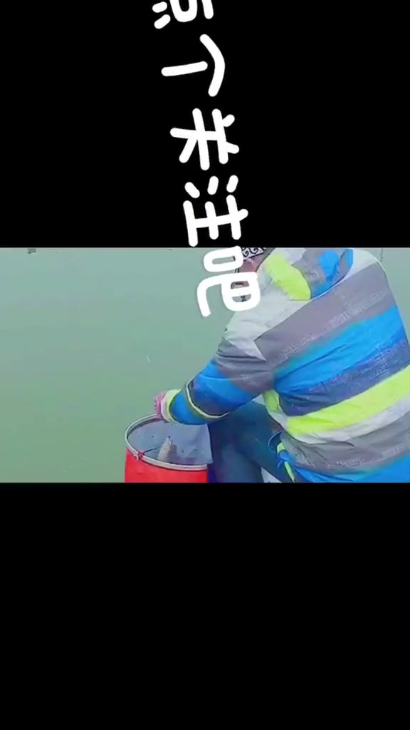 光威钓王杯全国总决赛季军周公民!分享鲫鱼黑坑如何作钓!户外钓鱼 钓鱼 黑坑 钓鱼人 野钓