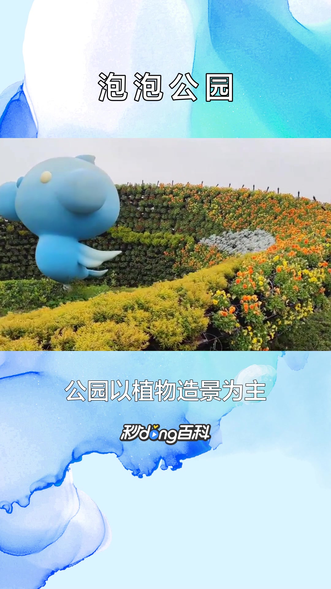 一分钟了解泡泡公园