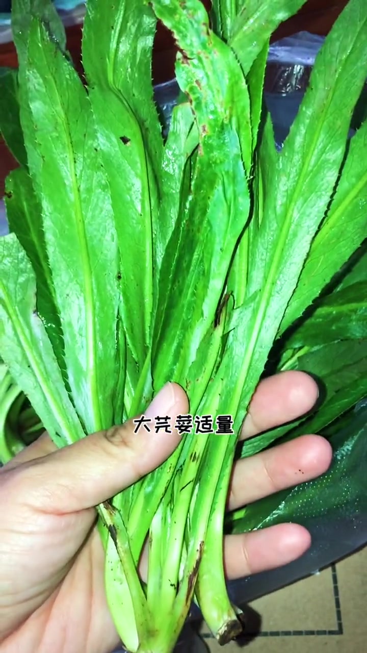 第16集|吃洋芋长子弟,男人吃了有魅力,女人吃了更美丽,哈哈哈哈!来一盆腌菜膏拌洋芋 +小