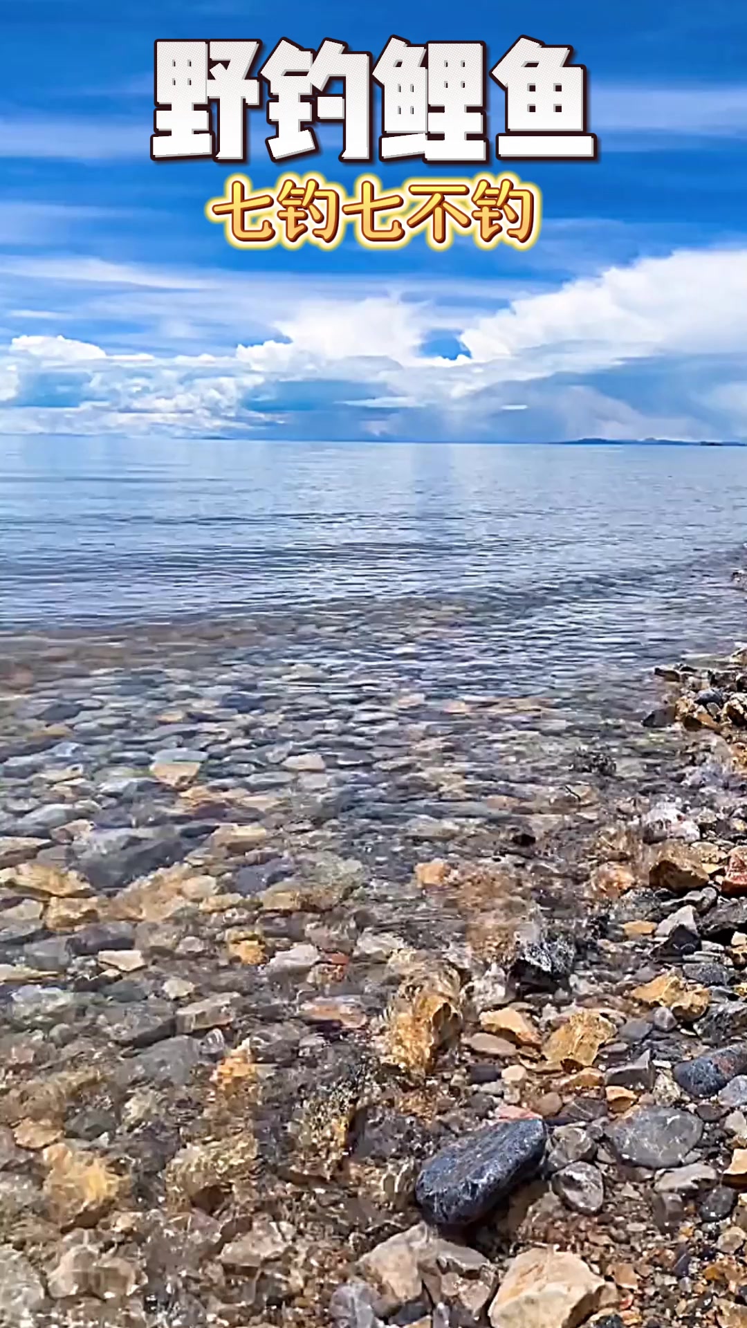 野钓鲤鱼七钓七不钓