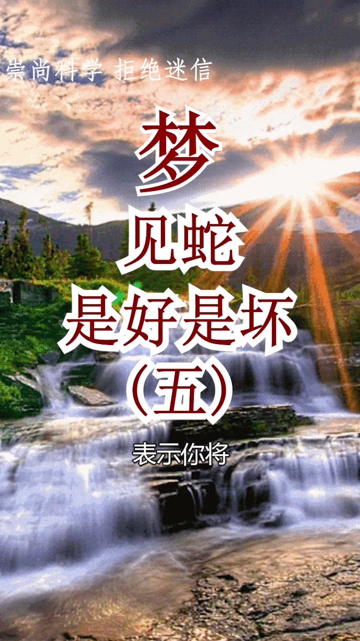梦见蛇变成龙,预示你将得到贵人相助,要交好运