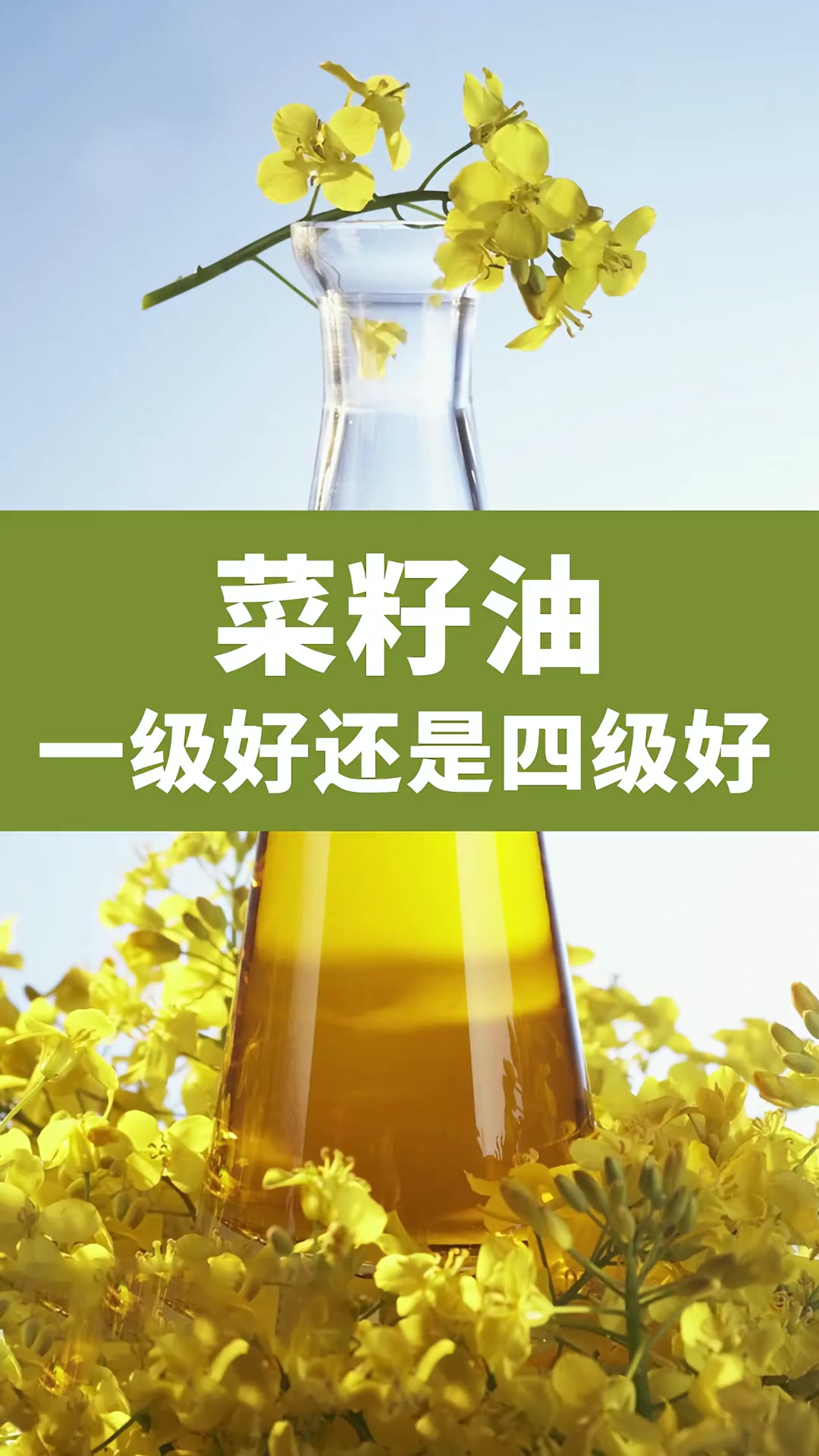 菜籽油一级二级和三级四级选哪个?注重健康的选一二级,注重味