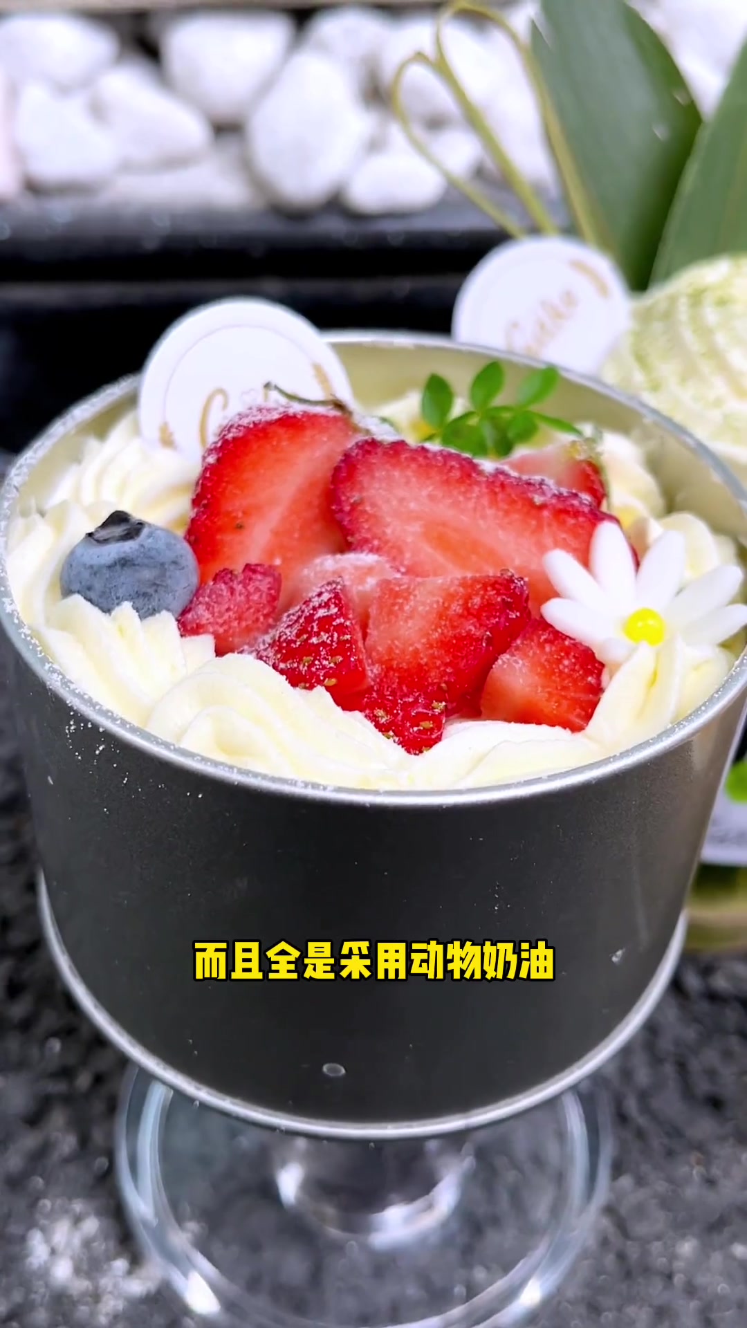 的竹筒奶茶来龙湾啦 9.9一大桶 白桃乌龙茶底雪顶 还有6寸动物奶油蛋糕才68 快囤 一会