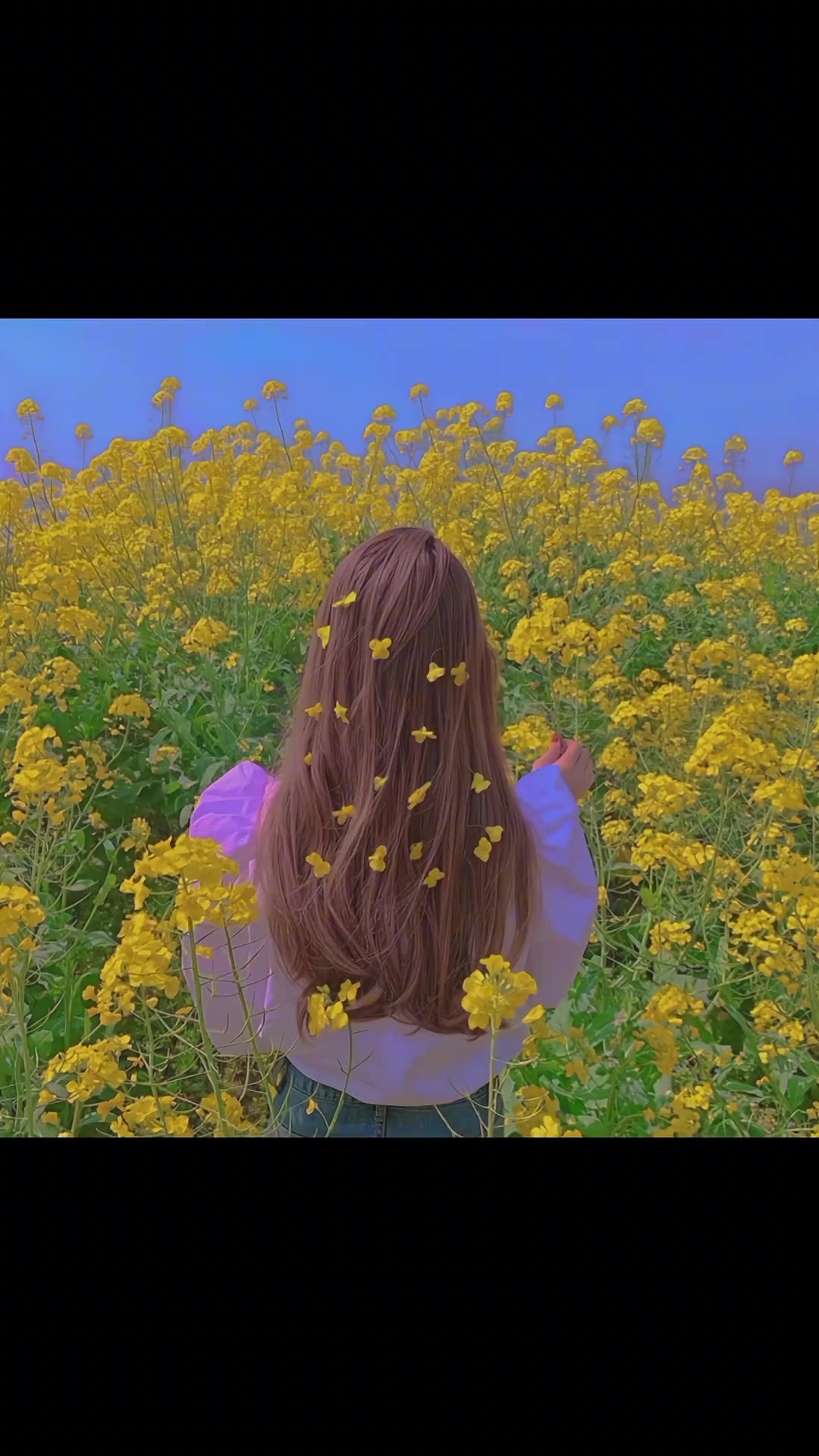 “落日沉溺与橘色的海,晚风沦陷于赤诚的爱”女生头像 头像