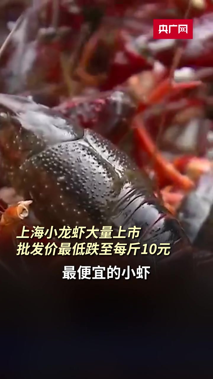 上海小龙虾大量上市 批发价最低跌至每斤10元 小龙虾