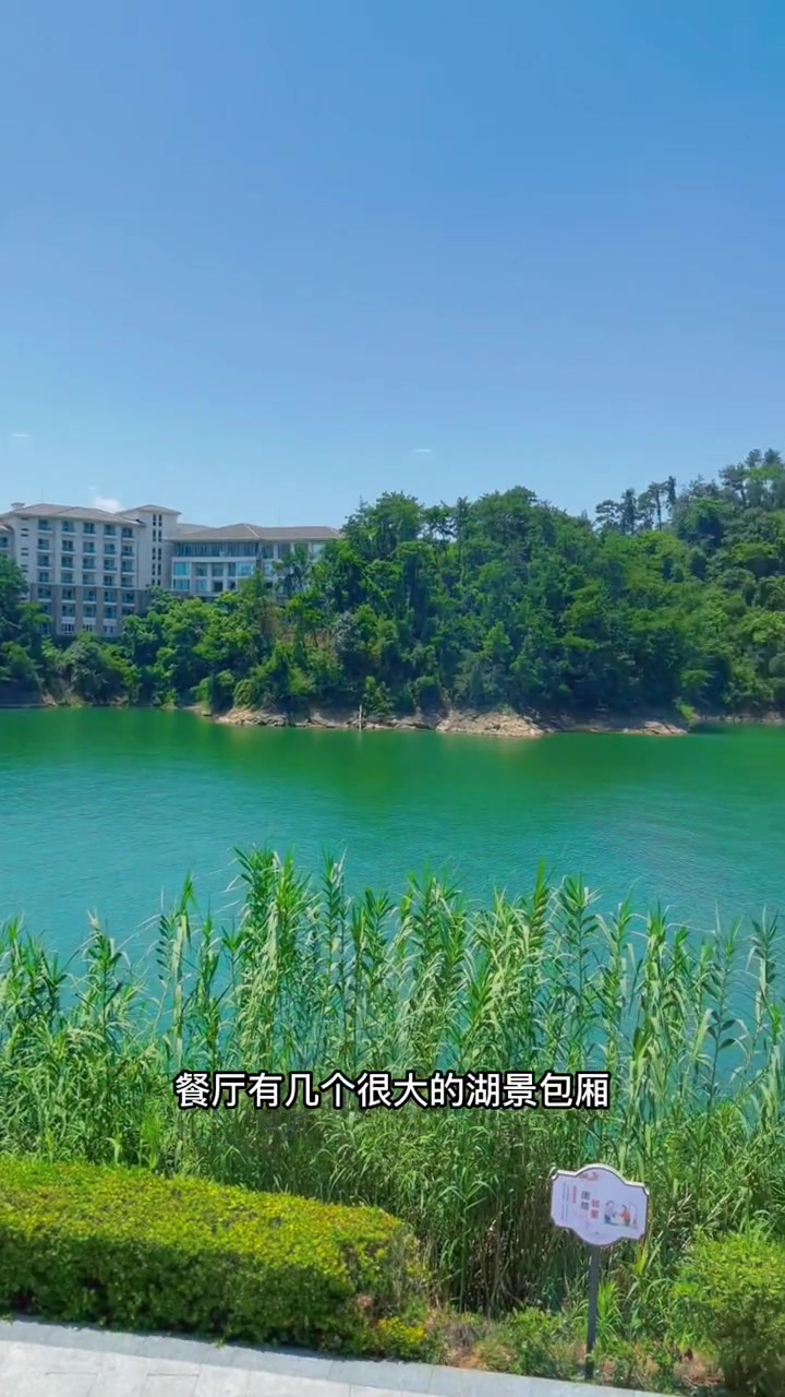 千岛湖鱼头 千岛湖胖头鱼 千岛湖美食 千岛湖旅游 来千岛湖吃鱼头另外一种做法 石锅鱼 套餐