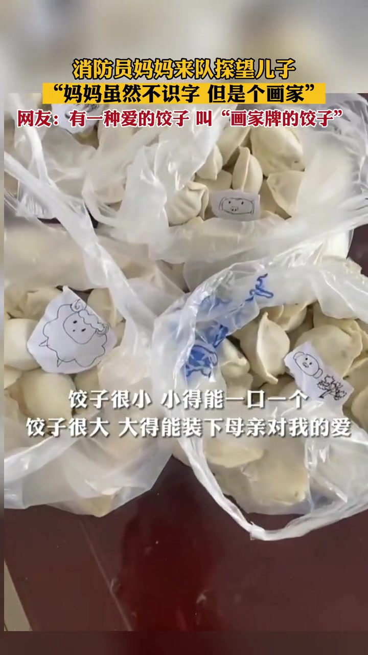 有一种爱的饺子,叫做“画家牌的饺子” 妈妈的爱 感动