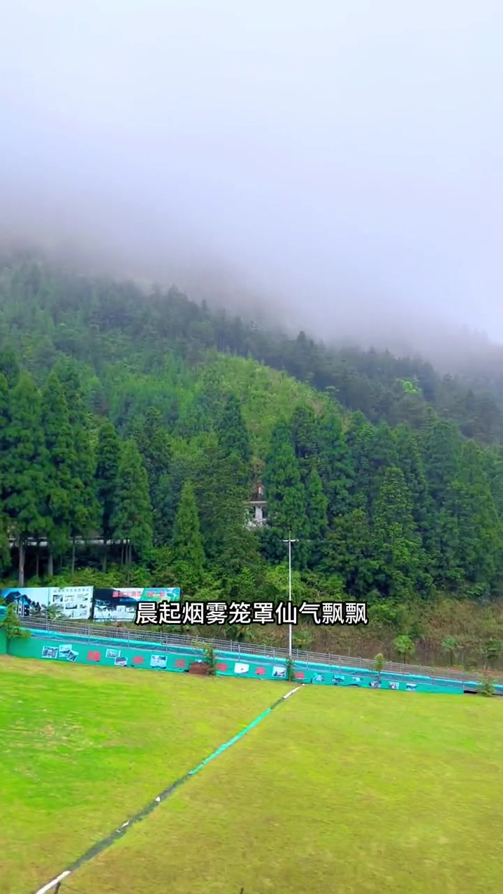 心动五一旅行在此时 亲子游玩好去处 彩虹滑道打卡 温州旅游 铜铃山风景 假期来文成绿水尖滑