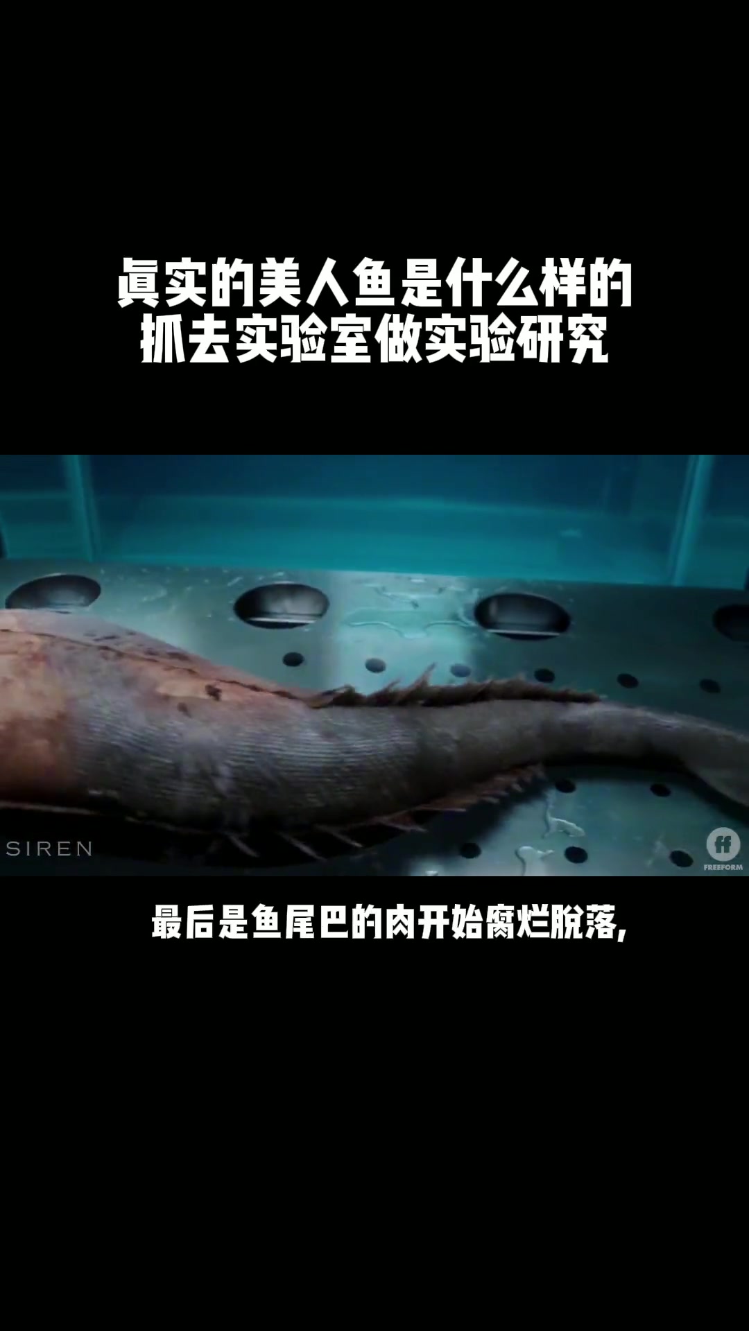 科学家活捉美人鱼关在实验室做邪恶试验