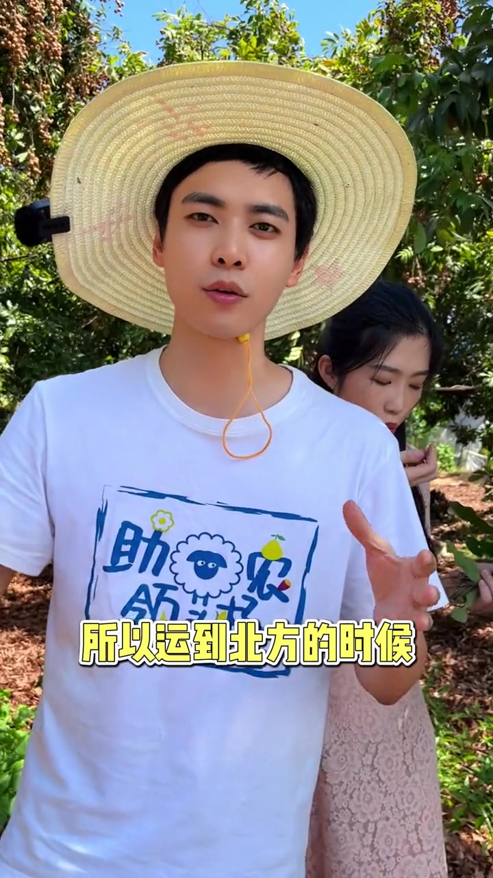 第62期,龙眼和和桂圆有什么区别?桂圆肉为什么比龙眼贵那么多