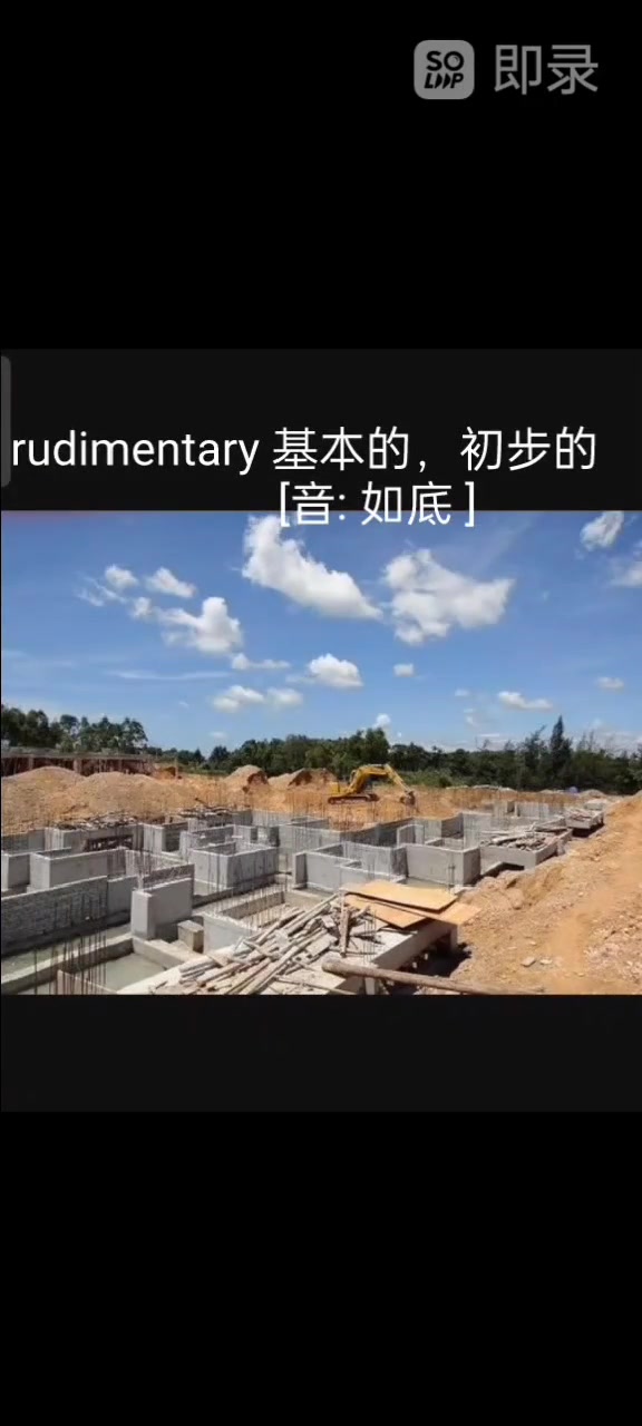 单词速记 rudimentary