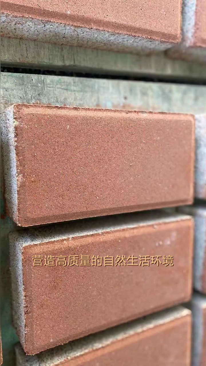 荷兰砖价格 荷兰砖 滨州荷兰砖 滨州荷兰砖源头厂家