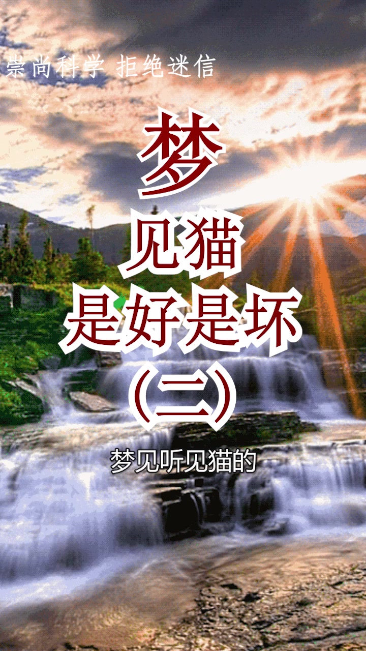 梦见被人遗弃的猫在路边叫,预示你可能会破财或是收入降低