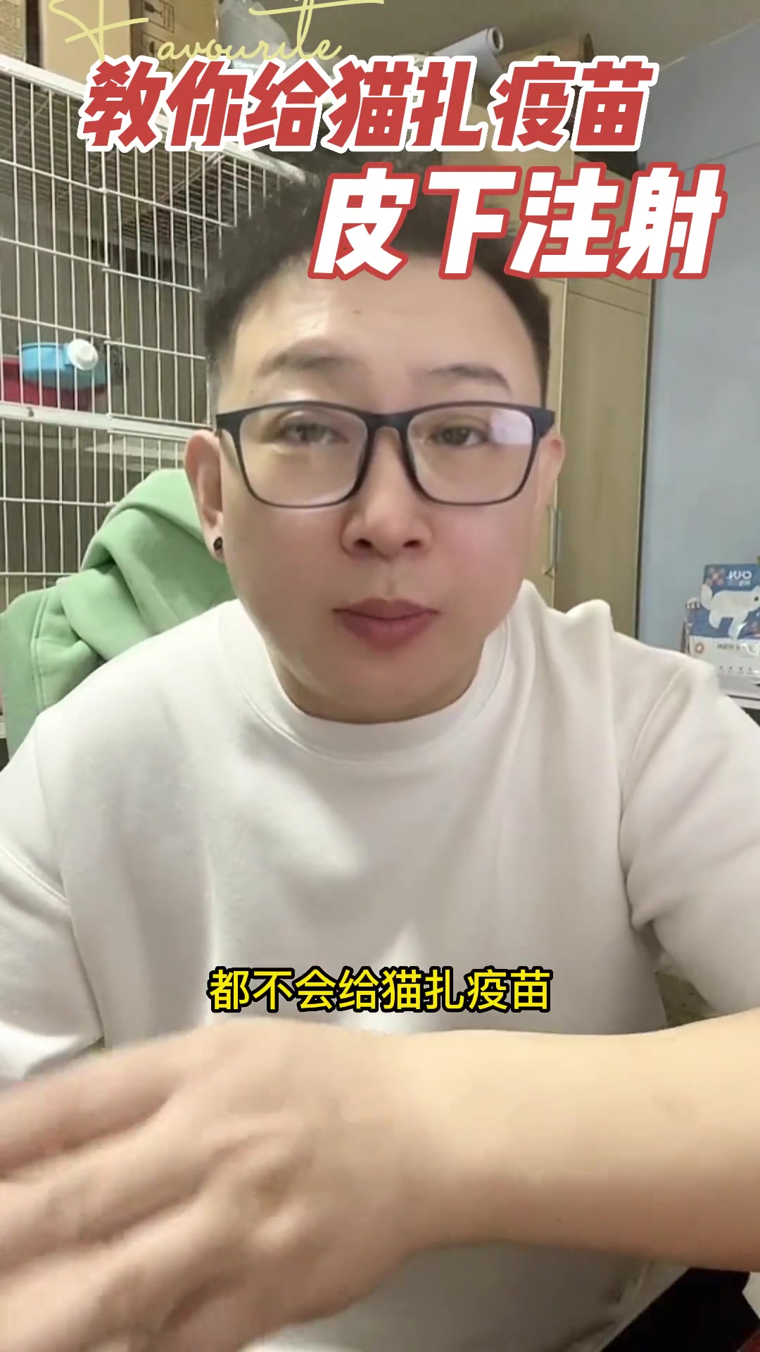 第27集|有很多小伙伴不会给猫扎疫苗,扎针,今天教大家如何给猫扎疫苗,皮下注射 金渐层 蓝