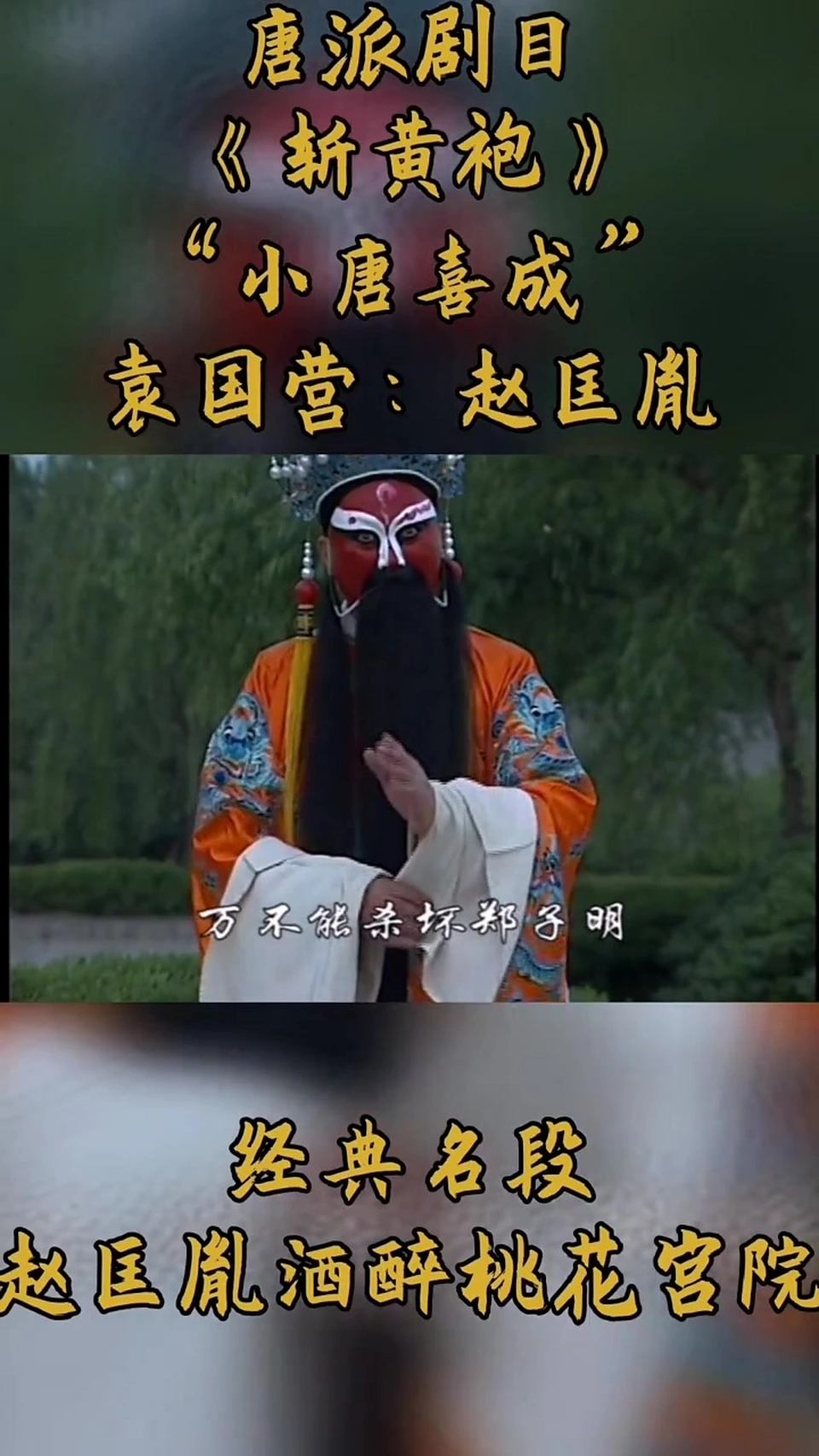 豫剧唐派传人(小唐喜成)袁国营老师,(唐派100首唱段),演唱豫剧《斩黄袍》赵匡胤酒醉桃花