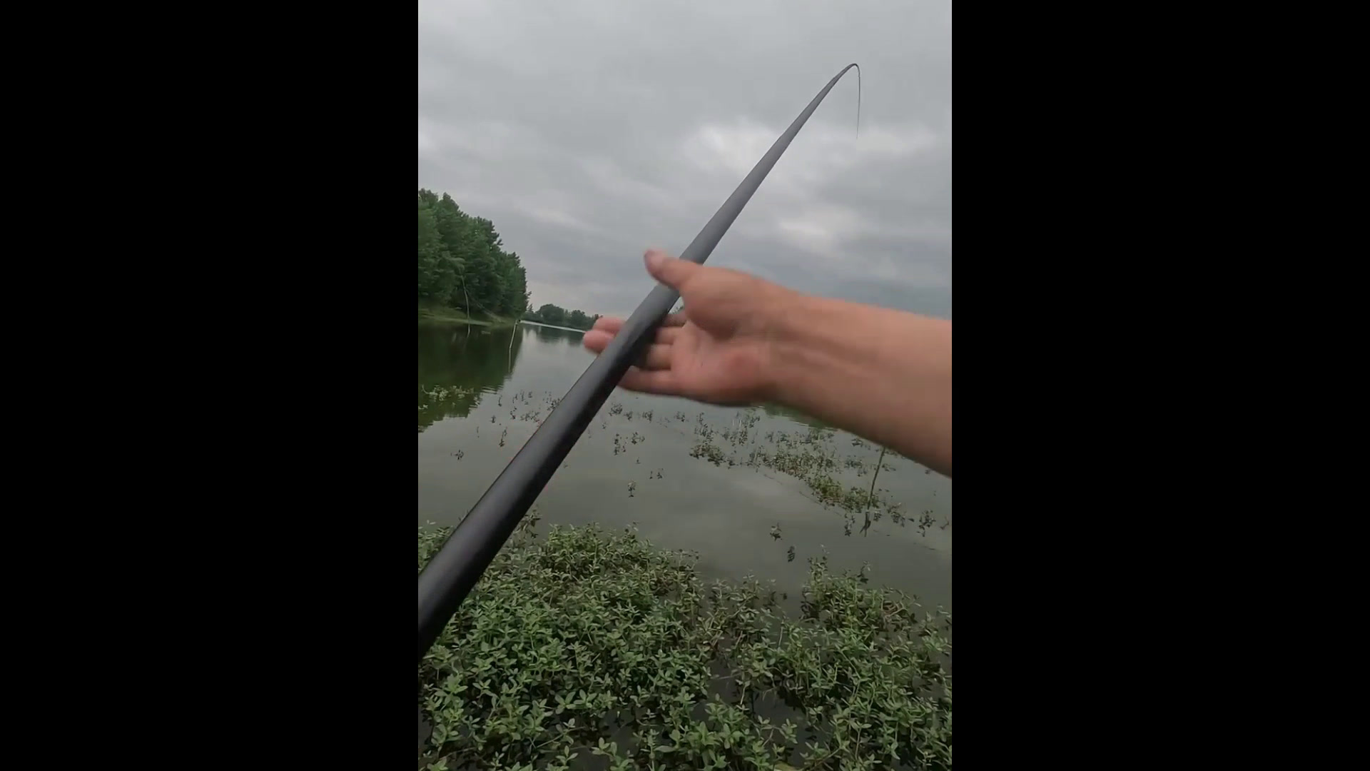 草窝里,野生嘎鱼连竿,最大的半斤左右,嘎鱼炖豆腐有了!野河