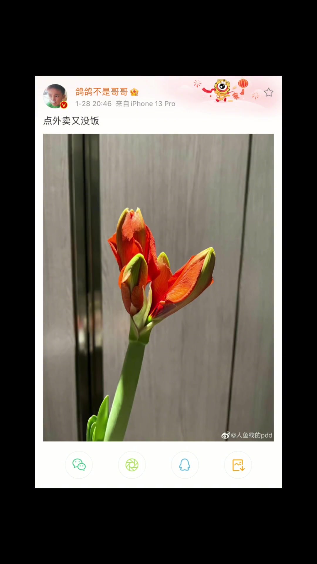 大葱日记完结 终于要回家啦!余庆伟 +小助手