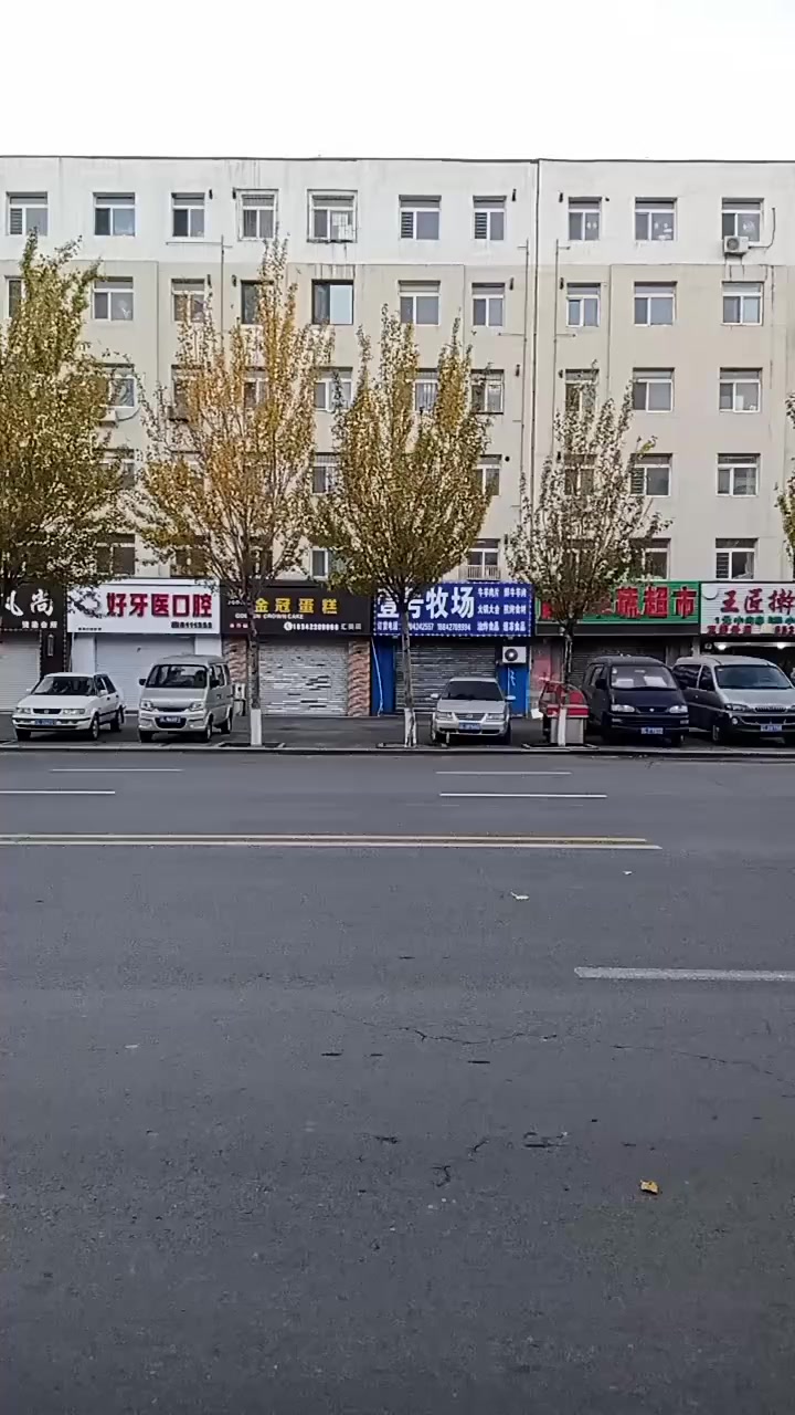 分享视频