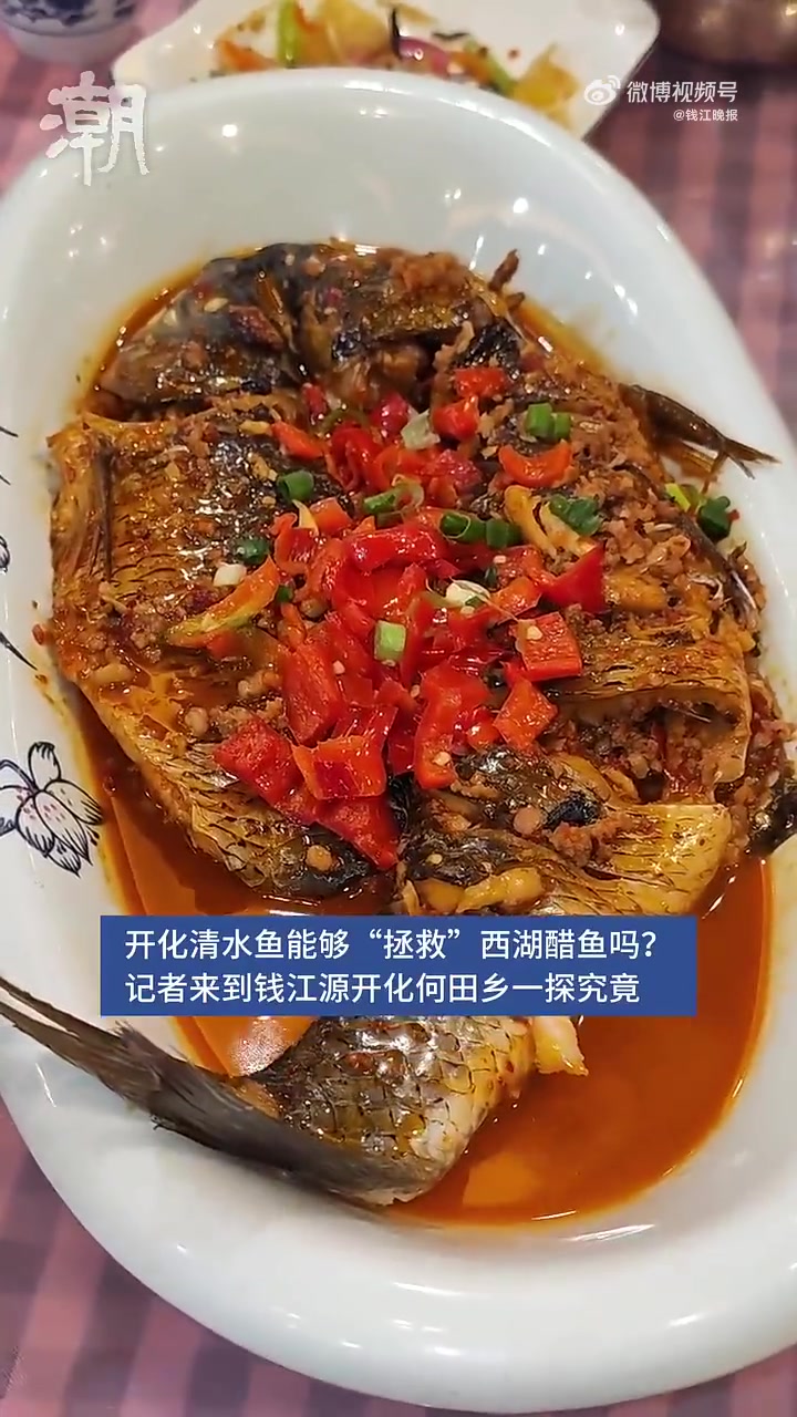 「开化清水鱼能拯救西湖醋鱼吗?」5月16日,潮新闻记者来到浙江开化县何田乡清水鱼养殖小镇,