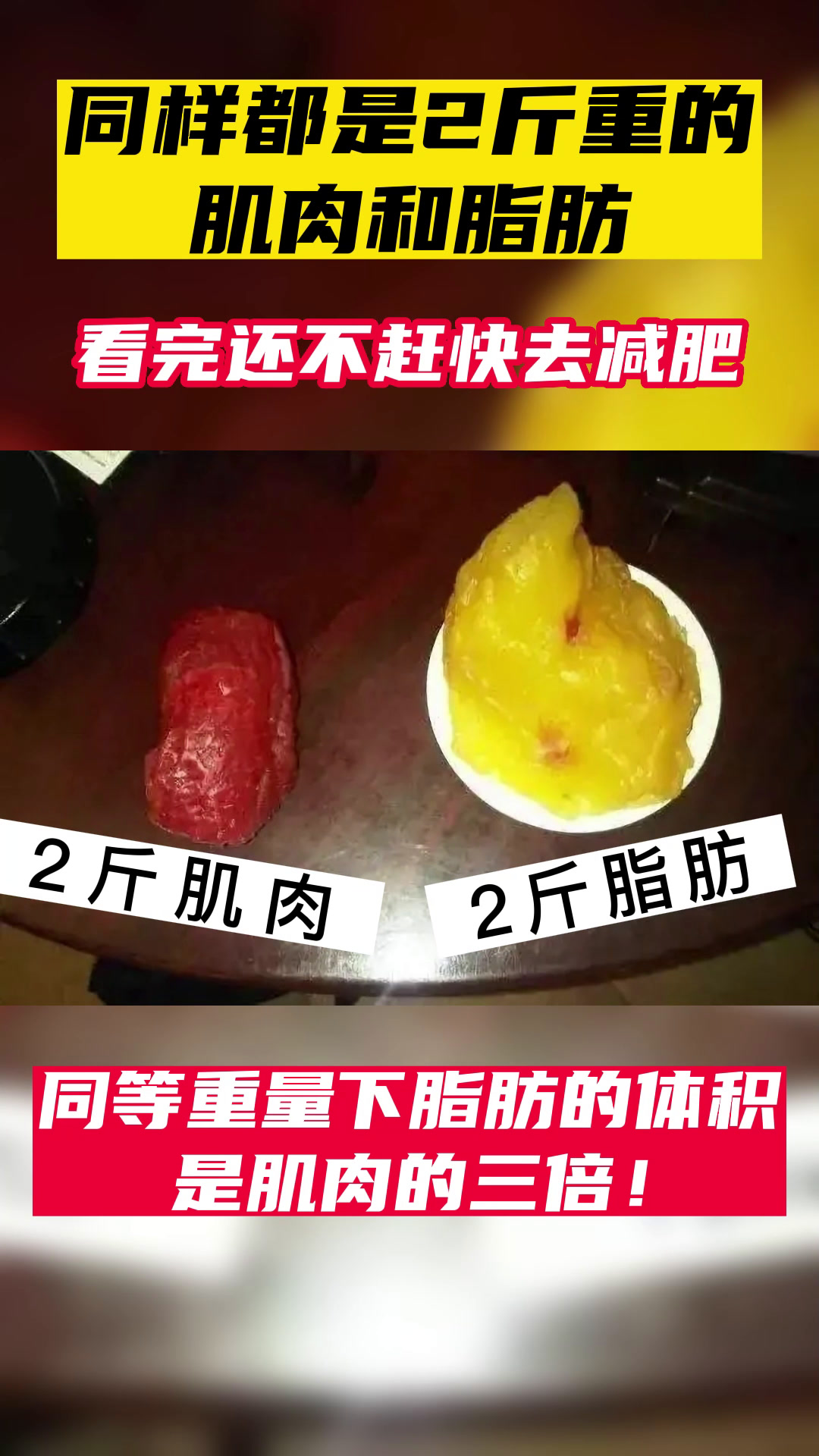 同等重量下,脂肪与肌肉的体积为什么会差别这么大?