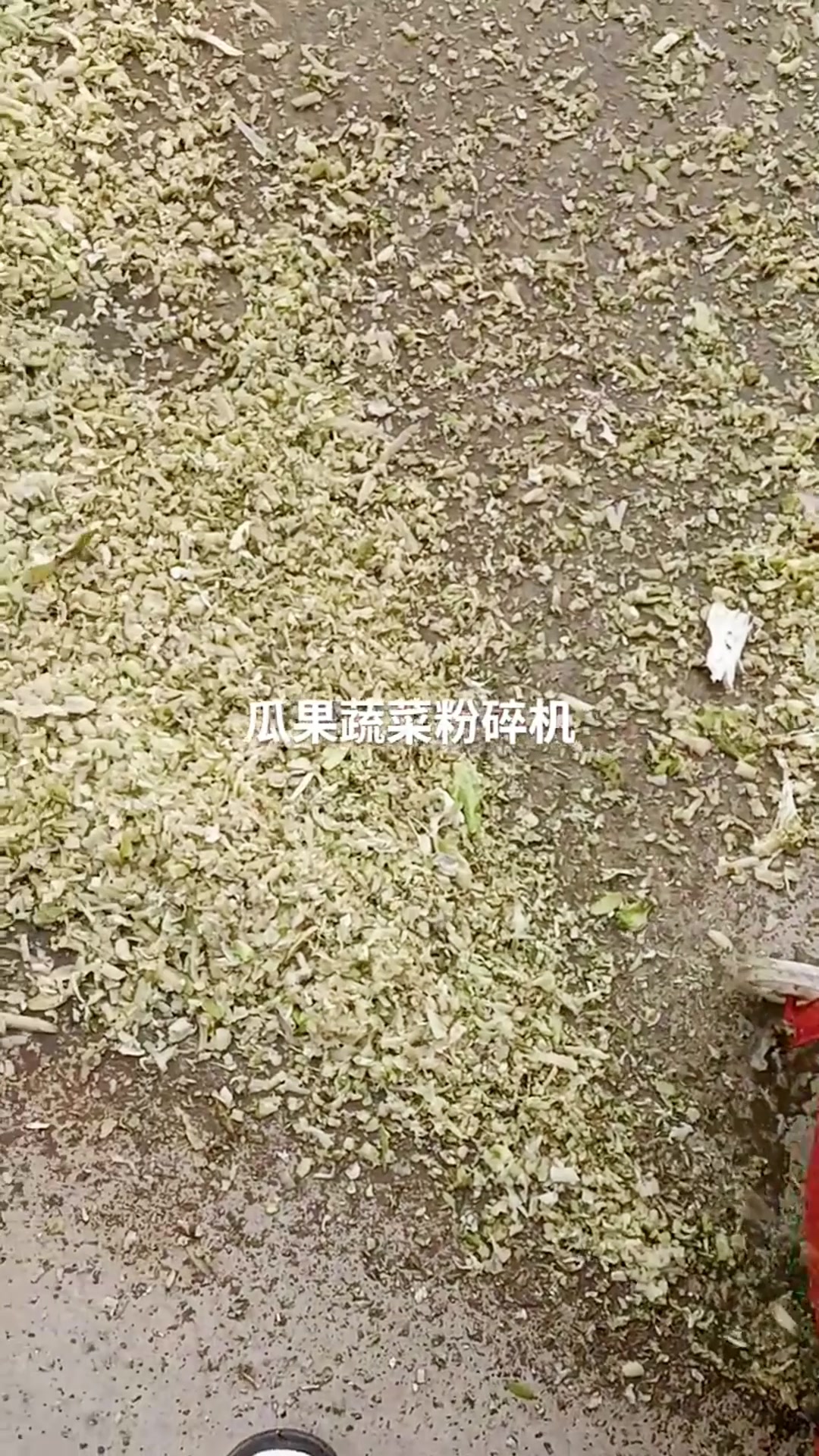 蔬菜瓜果粉碎机 适用范围广泛