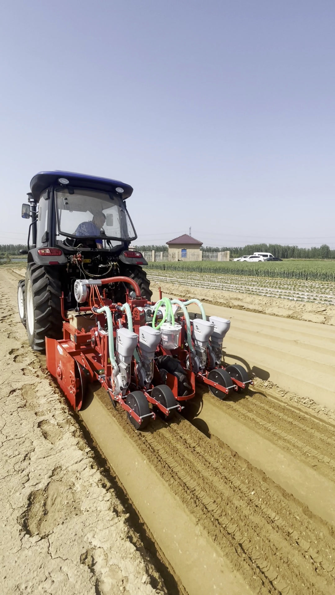 大顺气吸蔬菜播种机,精量播种机