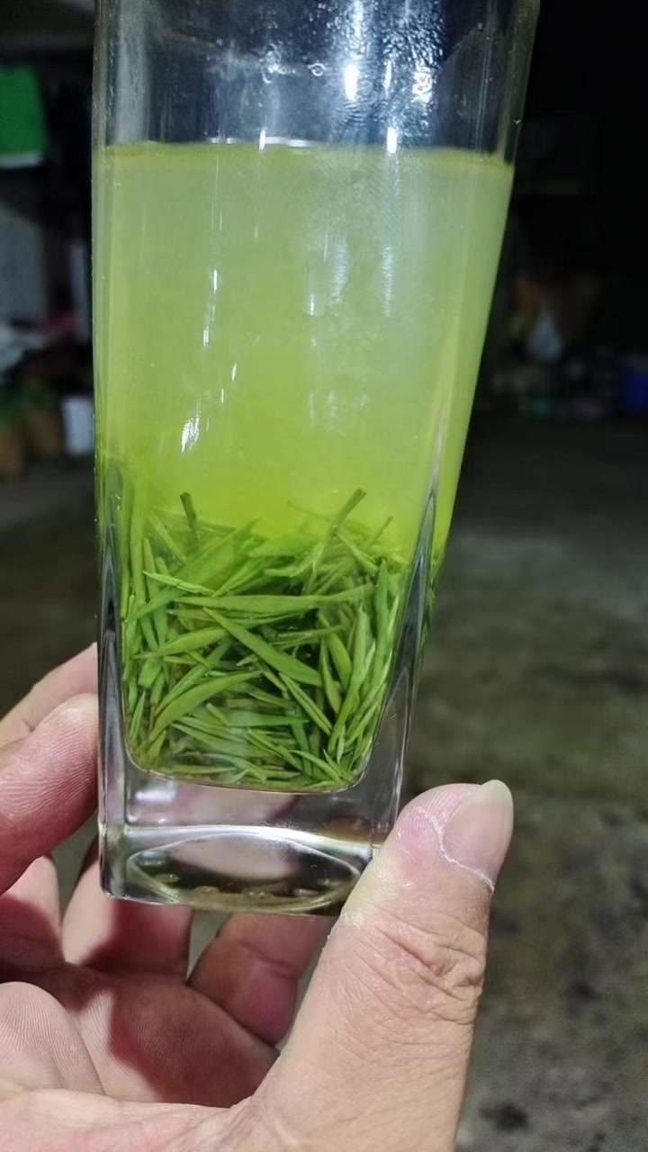 雅安茶叶杀青机使用中
