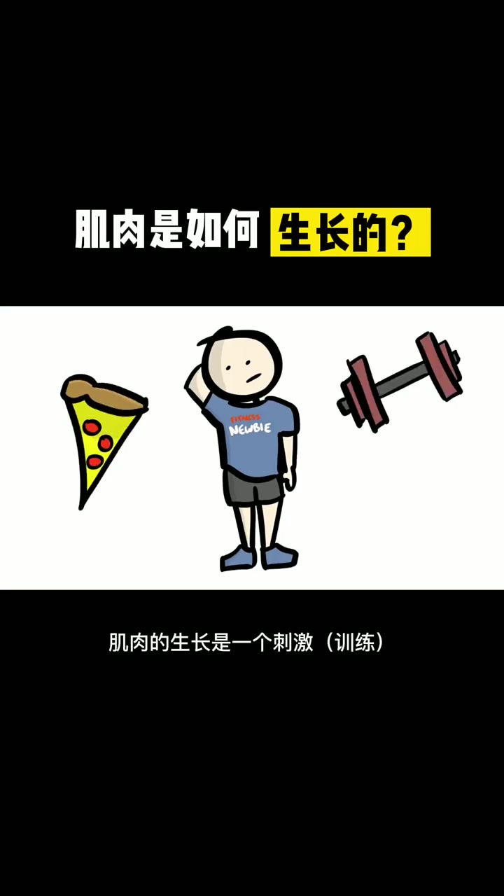 肌肉是如何生长的?