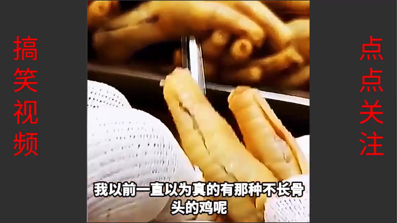 搞笑配音:无骨鸡爪去骨过程