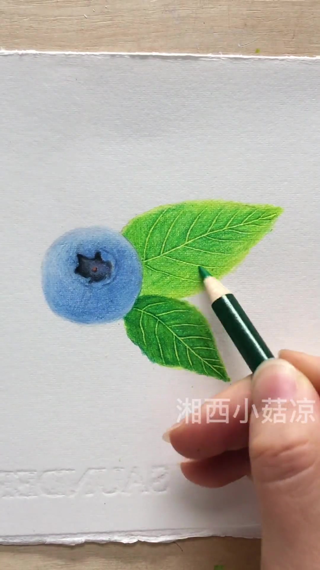 ࿆࿆一起学画画 画画使我快乐 手绘 画了颗蓝莓