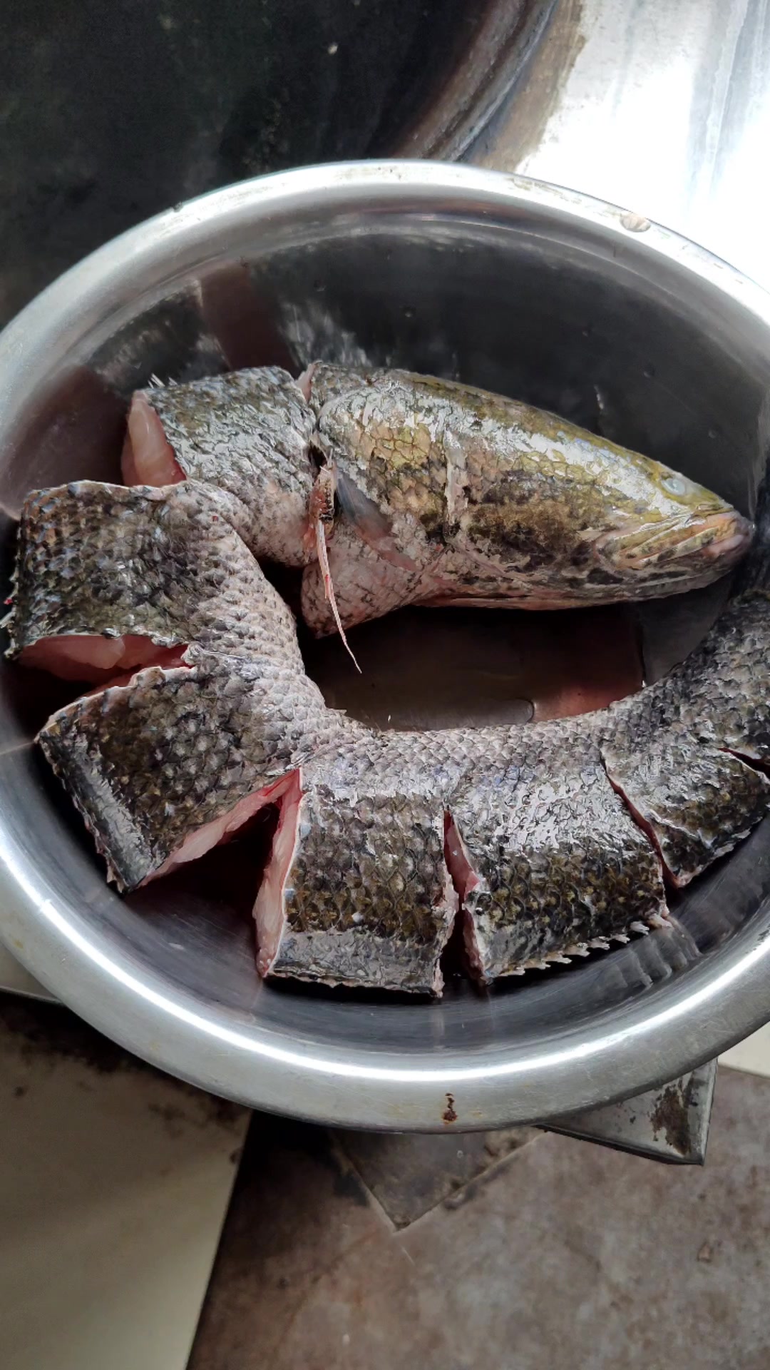 铁锅炖六斤大黑鱼